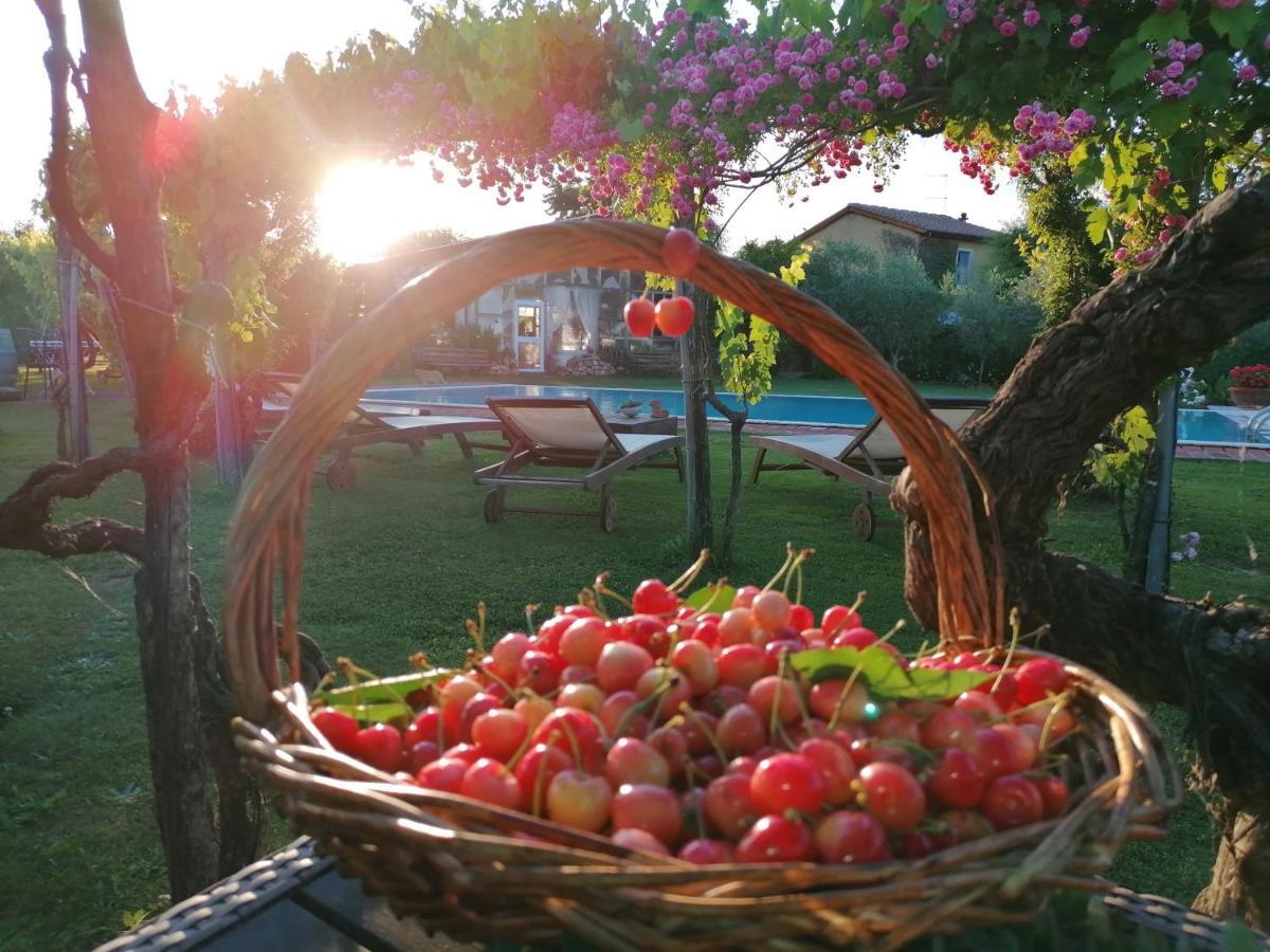 Podere Piandarca Terranuova Bracciolini Exteriör bild